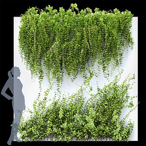 3D model Wall Artificial Hanging Plants 01
