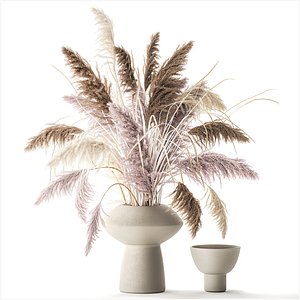 3D bouquet of dried flowers vase cortaderia white pampas 338 model