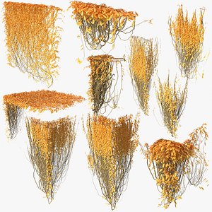 ivy p3 01 3D model