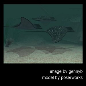 poser aquatic stingray pzstingray