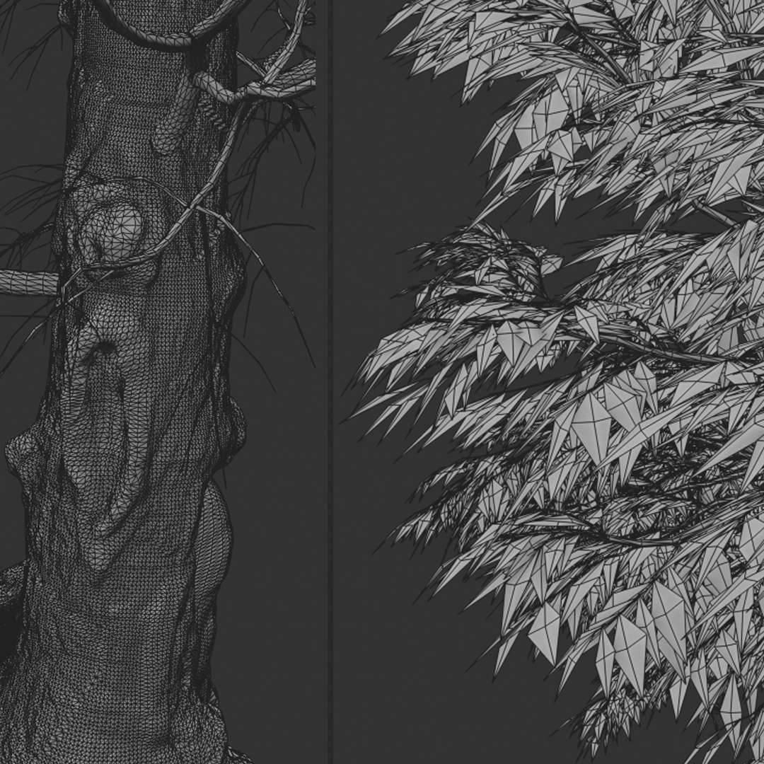 3D Eucalyptus Radiata Tree Forth River Peppermint 1 Tree model https://p.turbosquid.com/ts-thumb/cG/p738v5/uB/eucalyptusradiata4t/jpg/1669646296/1920x1080/fit_q87/73e6ba8905edc394a99fc985e5f9524fae881377/eucalyptusradiata4t.jpg