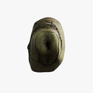 Anydrafts Cinnamomum japonicum Burl 04 3D model