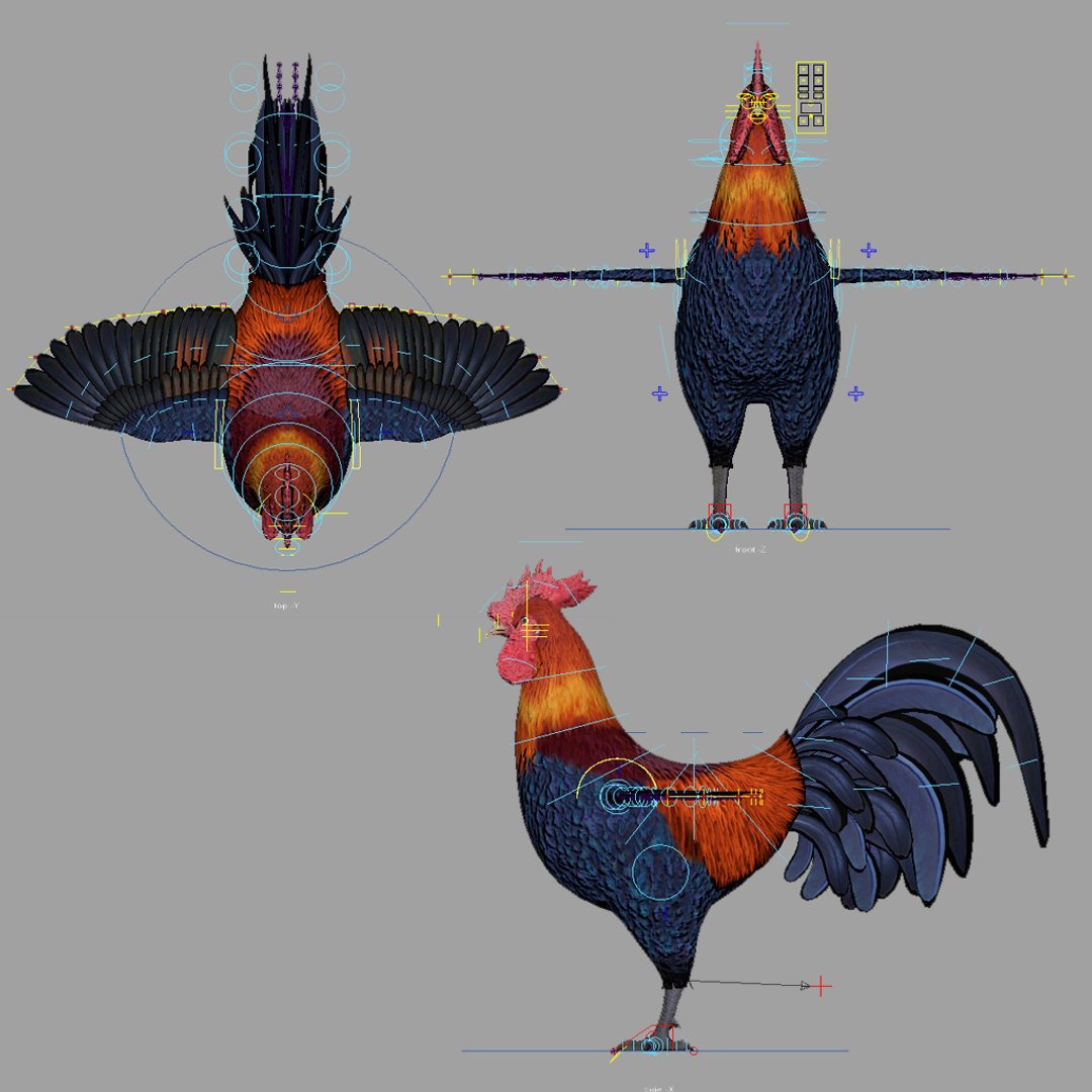 3D rigged https://p.turbosquid.com/ts-thumb/cH/N62QGh/RDZypDBE/rooster_03/jpg/1602225823/1920x1080/fit_q87/17dd7a3b870af72b0b3f00f2bdda849041ad3a0c/rooster_03.jpg
