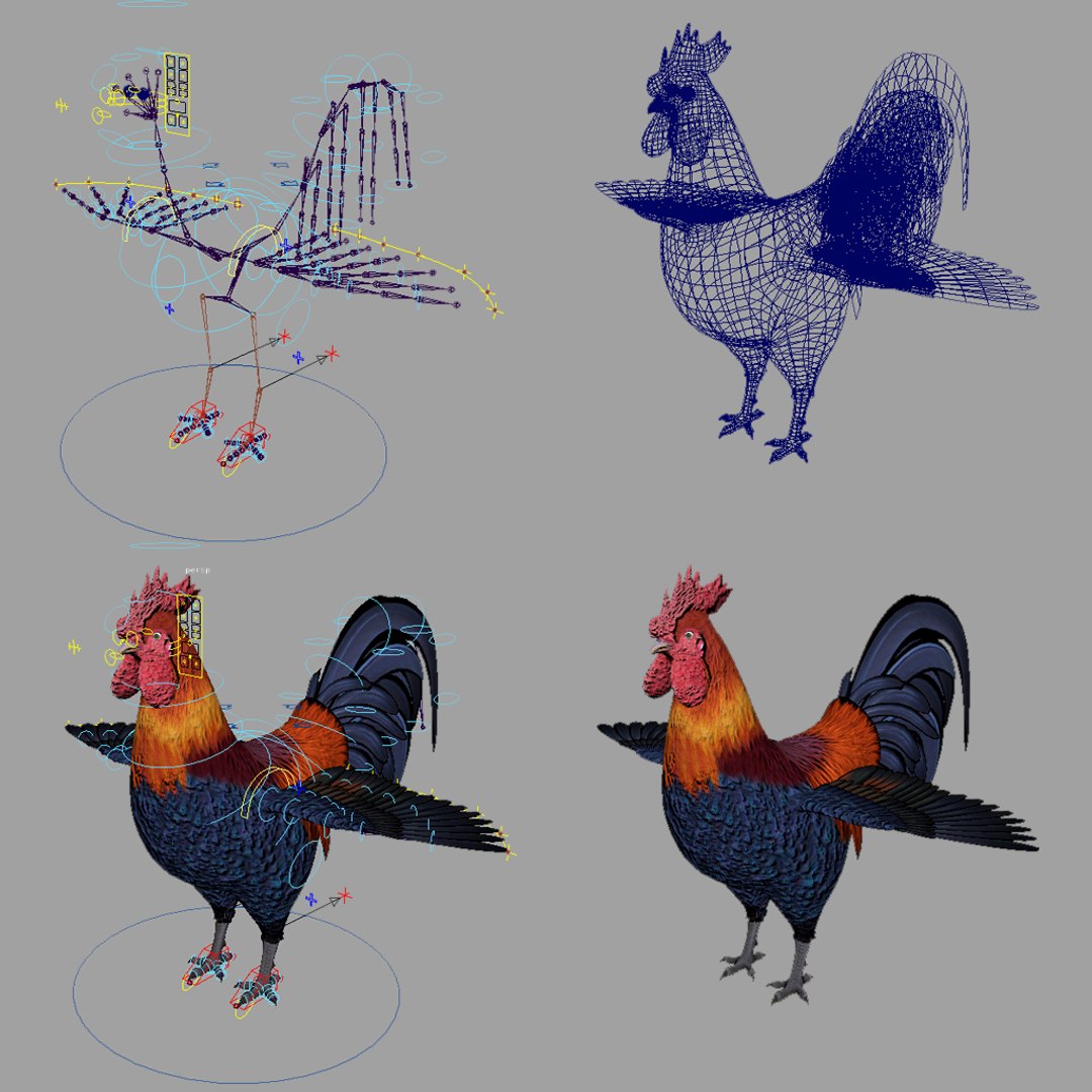 3D rigged https://p.turbosquid.com/ts-thumb/cH/N62QGh/WxsyuTkD/rooster_02/jpg/1602225739/1920x1080/fit_q87/55ef60cc4742426483582841de183c9003e29bb8/rooster_02.jpg