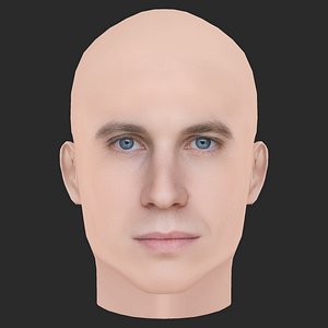 3D Low Poly Matthew Luret Head