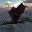 Drago Nero