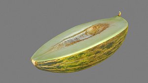 3D model melon piel sapo slice