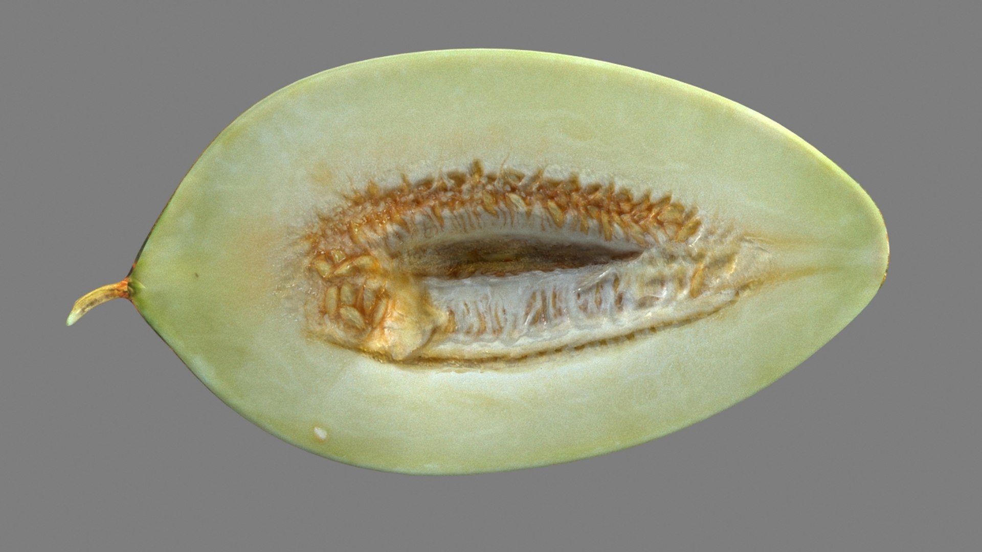 3D model melon piel sapo slice https://p.turbosquid.com/ts-thumb/cH/f8Ht52/fuwmlOF4/10002/jpg/1537701391/1920x1080/fit_q87/4a36ca538e40cbe3bb2c6b867f2c70e5dd98a45f/10002.jpg
