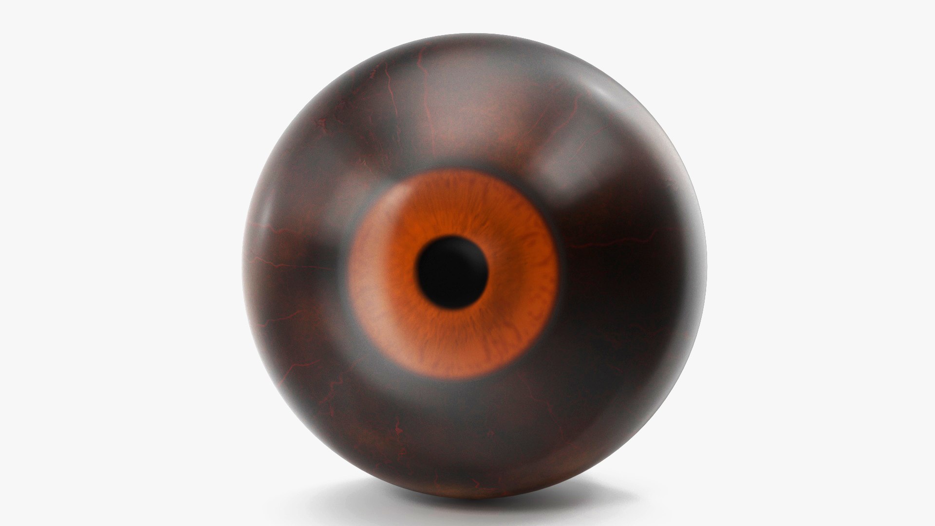 3D Realistic Gorilla Eye https://p.turbosquid.com/ts-thumb/cH/fZmBGr/Il/realisticgorillaeye3dsmodel002/jpg/1709030656/1920x1080/fit_q87/ac019b3bf9dd3efd93209db6fba9fc5c7577272b/realisticgorillaeye3dsmodel002.jpg