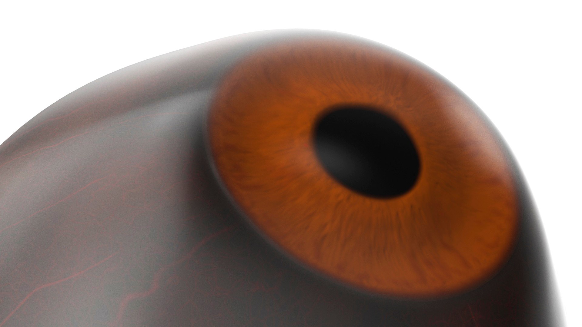 3D Realistic Gorilla Eye https://p.turbosquid.com/ts-thumb/cH/fZmBGr/pq/realisticgorillaeye3dsmodel015/jpg/1709031187/1920x1080/fit_q87/4c94fe567f9f60214278fb9e081585a8986167e3/realisticgorillaeye3dsmodel015.jpg
