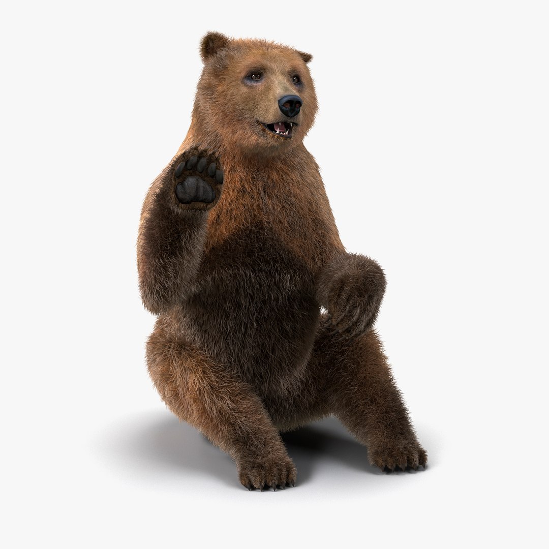 Brown Bear with Fur Pose 4 3D Model 3D model preview