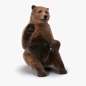 Brown Bear with Fur Pose 4 3D Model