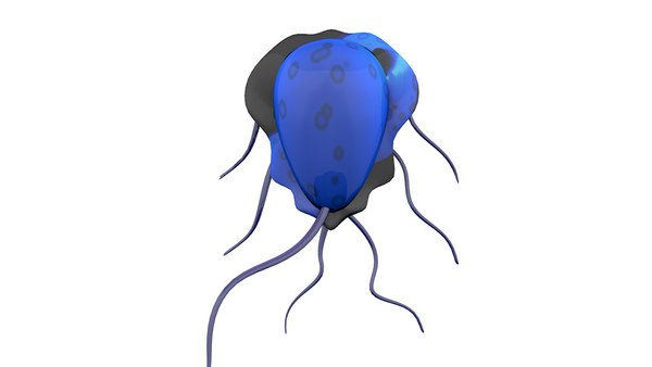 Alien virus character model - TurboSquid 1320196