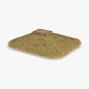 Tropical Roof Canopy with Thatch Panels Natural 3D