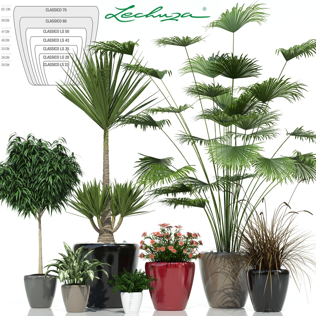 plants lechuza classico 3d model https://p.turbosquid.com/ts-thumb/cH/tDwDbN/5Pl62x3a/plant_21_classico_01/jpg/1478545550/1920x1080/fit_q87/e266456213d484d1101b189ceb374ddb70a2187e/plant_21_classico_01.jpg