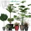 plant 24 Lechuza CLASSICO