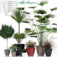 plant 24 Lechuza CLASSICO