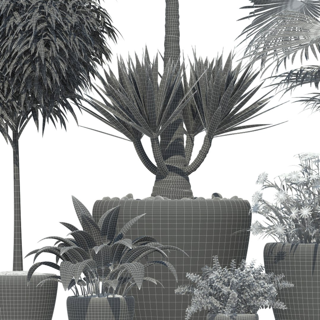 plants lechuza classico 3d model https://p.turbosquid.com/ts-thumb/cH/tDwDbN/MG2t0LmD/plant_21_classico_08/jpg/1478545646/1920x1080/fit_q87/e1abd819eb89d9481645c9f0e7a9c3210d99d7ce/plant_21_classico_08.jpg
