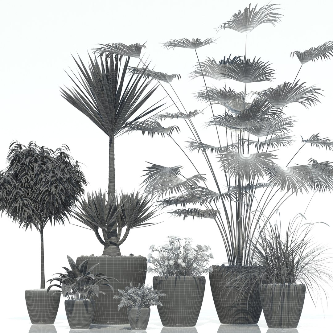 plants lechuza classico 3d model https://p.turbosquid.com/ts-thumb/cH/tDwDbN/YMNqnZAd/plant_21_classico_02/jpg/1478545625/1920x1080/fit_q87/3ed2faa7ccadf85e3105b46583a520494662124e/plant_21_classico_02.jpg