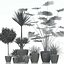 plant 24 Lechuza CLASSICO