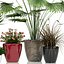 plant 24 Lechuza CLASSICO