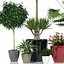 plant 24 Lechuza CLASSICO