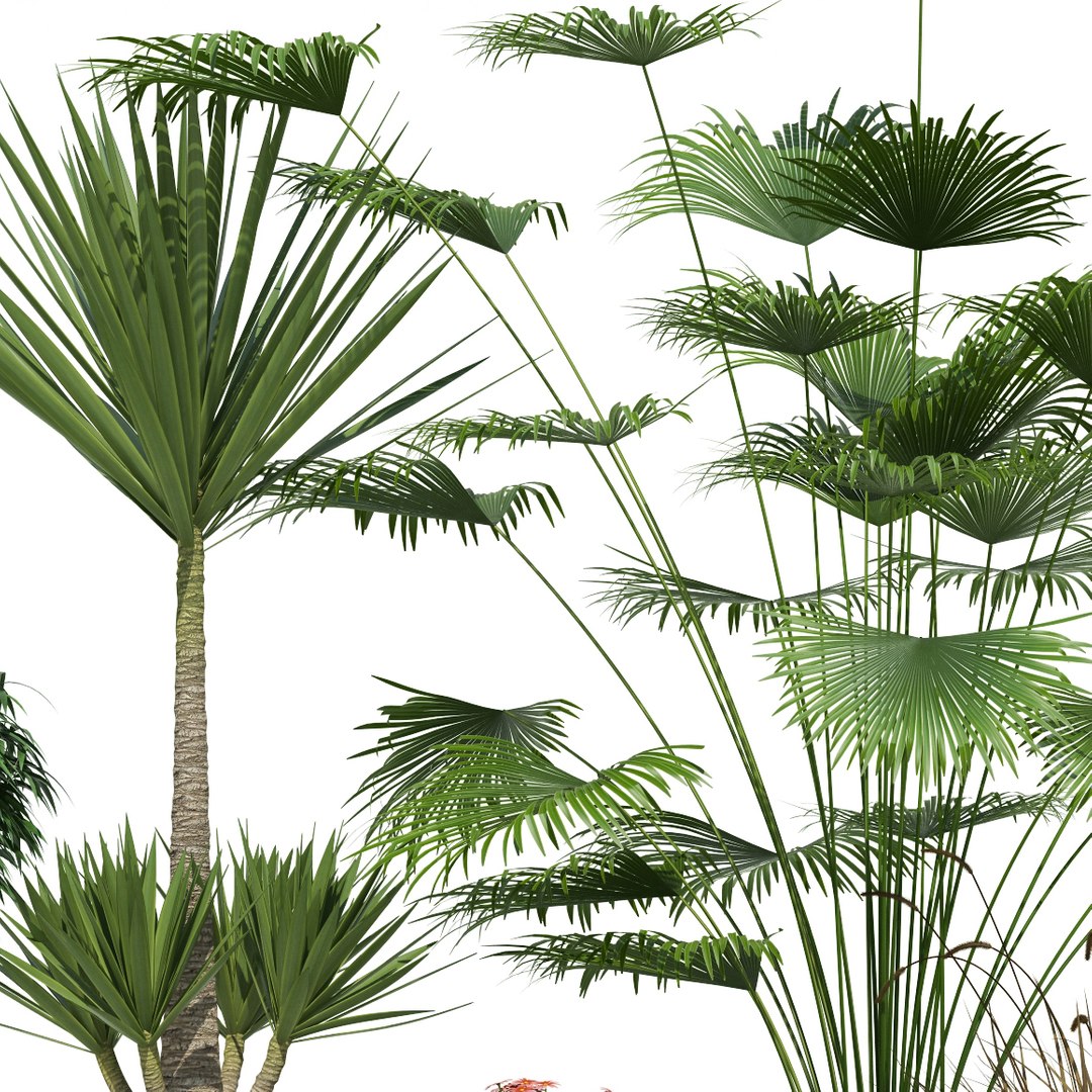 plants lechuza classico 3d model https://p.turbosquid.com/ts-thumb/cH/tDwDbN/hBPMmnt4/plant_21_classico_06/jpg/1478545608/1920x1080/fit_q87/dd80e180d39ac67c46e3bdd0f6591e07afc11b01/plant_21_classico_06.jpg