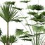 plant 24 Lechuza CLASSICO