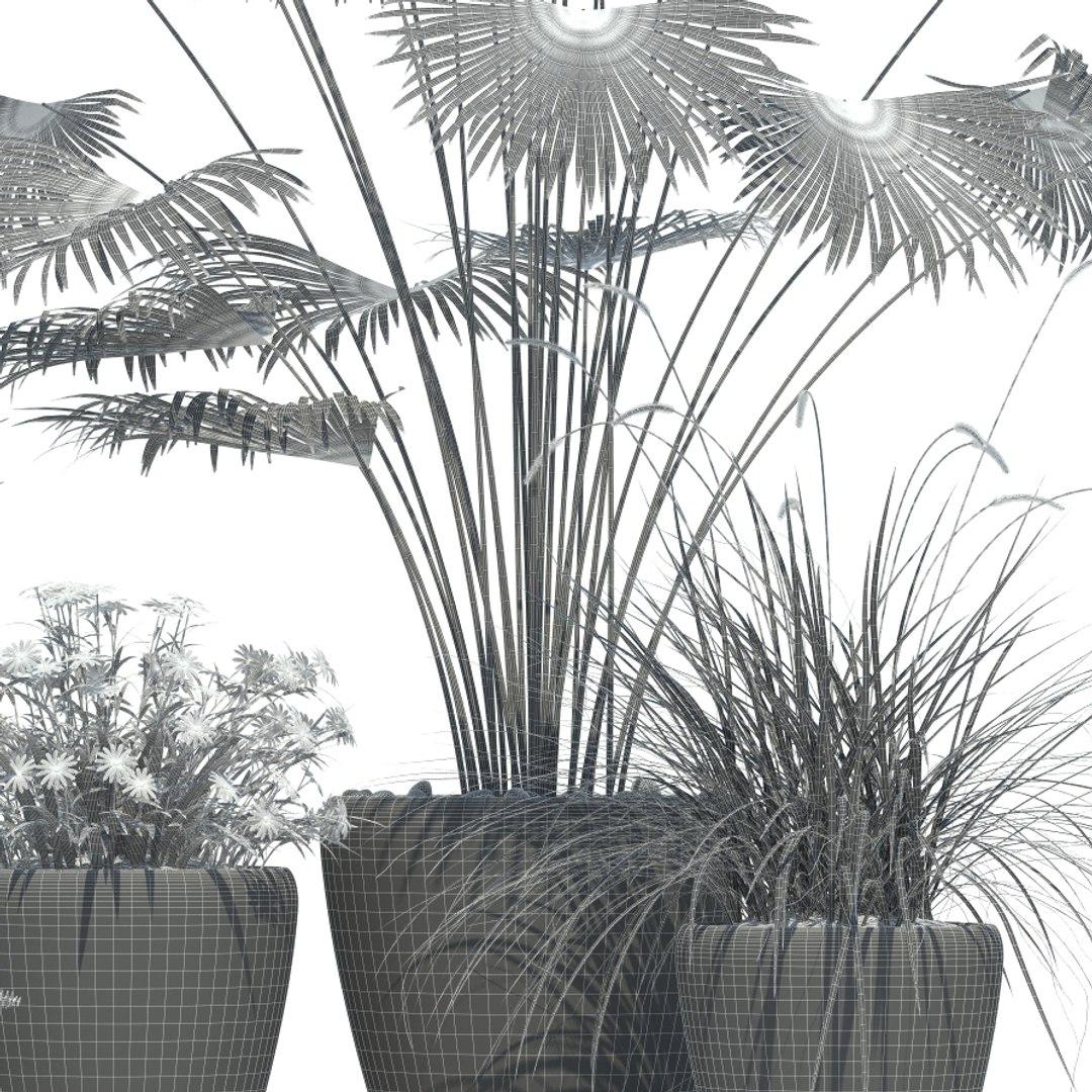 plants lechuza classico 3d model https://p.turbosquid.com/ts-thumb/cH/tDwDbN/y3EIzAZf/plant_21_classico_07/jpg/1478545645/1920x1080/fit_q87/a584cb270f5e698eed916cd6f7211b9477729581/plant_21_classico_07.jpg