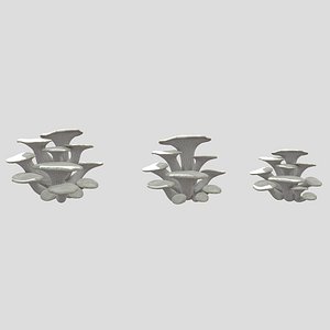 Oyster Mushroom Low Poly
