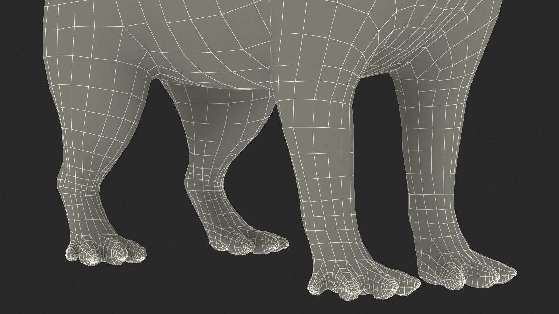 Capybara Fur 3D Model TurboSquid 1943508