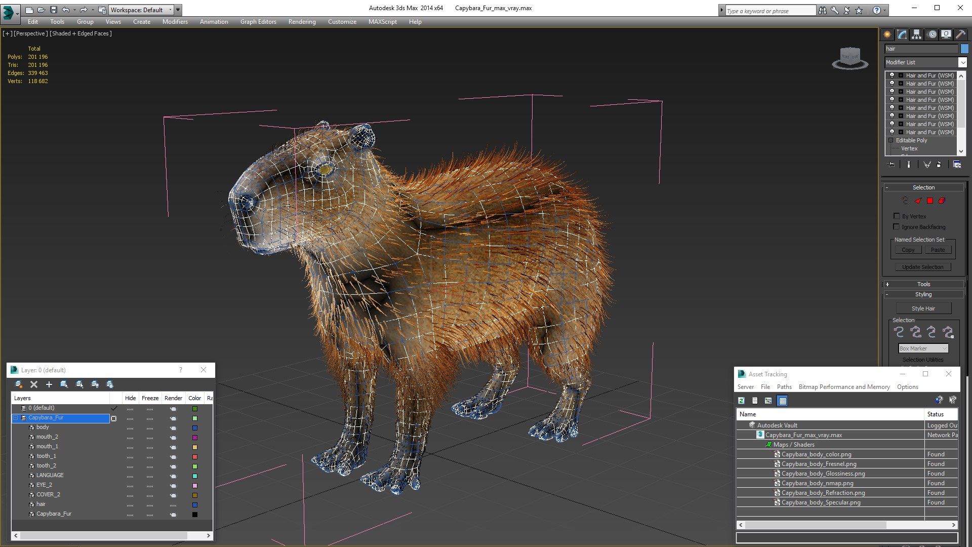 Capybara Fur 3D Model TurboSquid 1943508