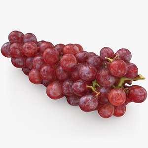 Red Grapes 02