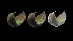 3D tea leaf animation