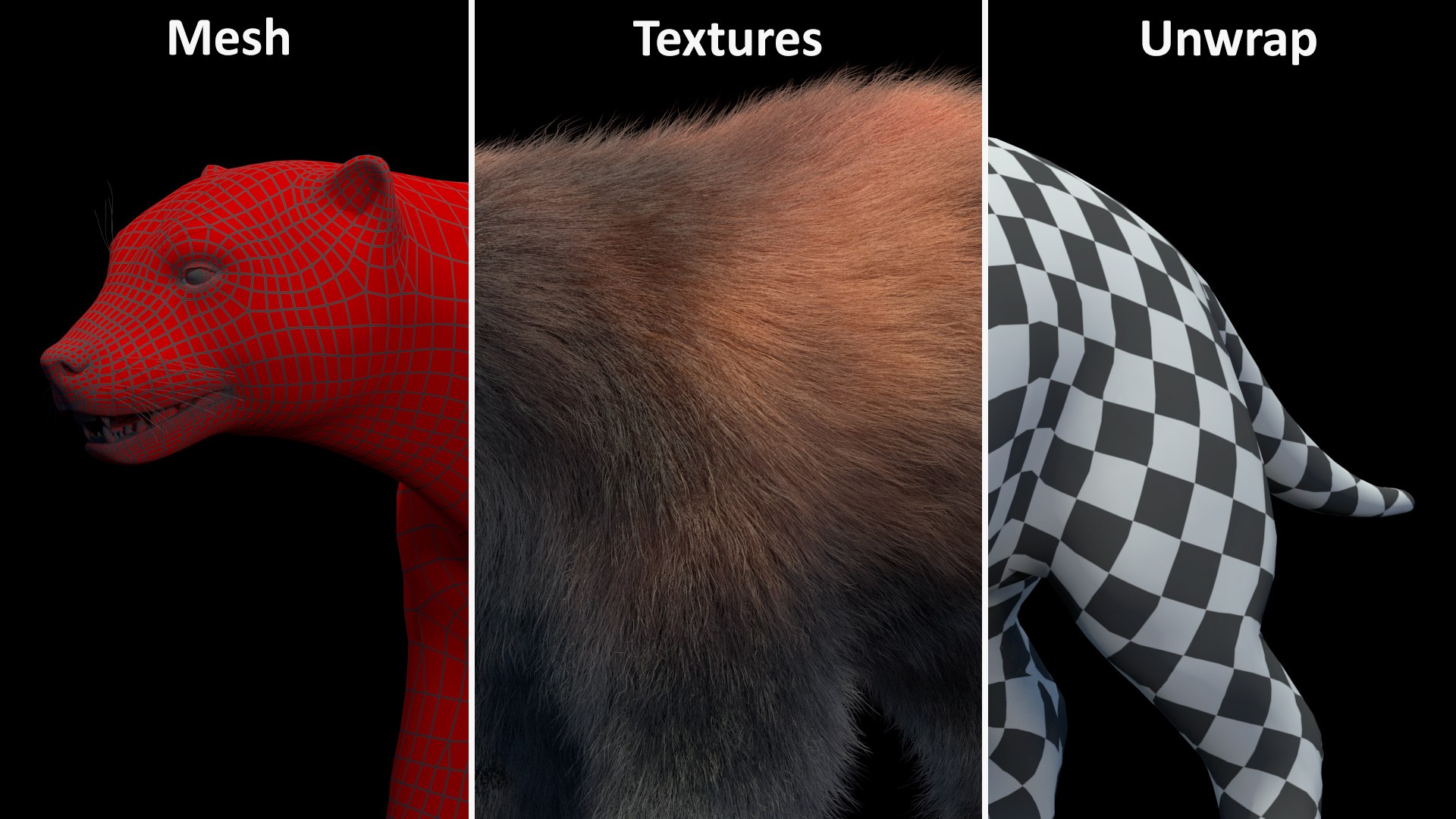 3D Wolverine Dark Color Fur Rigged - TurboSquid 2160468