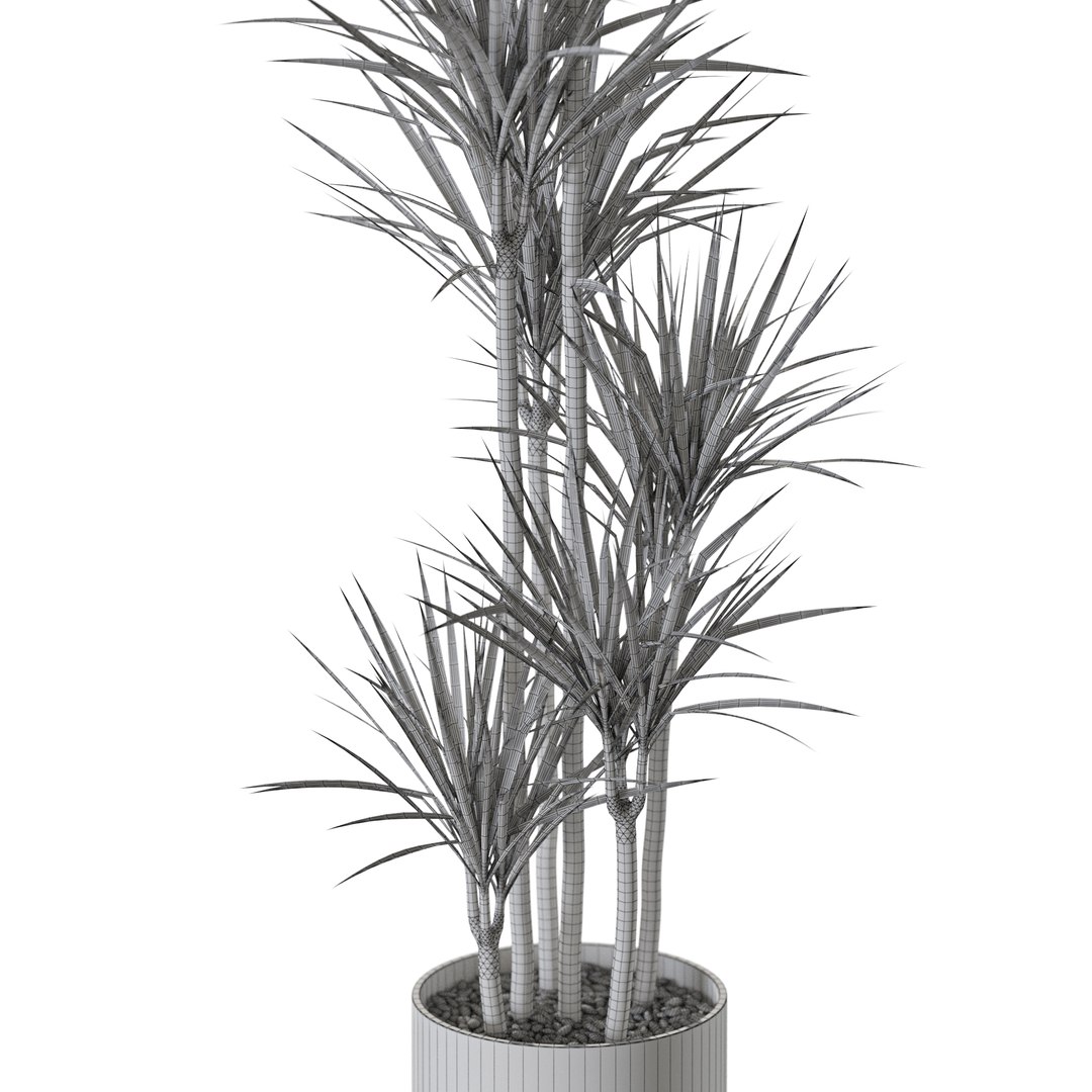 Plant 1242 3D model https://p.turbosquid.com/ts-thumb/cI/Zy2J18/L0/plant_1242_05/jpg/1745909269/1920x1080/fit_q87/90391c627f13b2268dd672e54a45255845bc9920/plant_1242_05.jpg