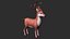 3D DeerAnimatedRigged
