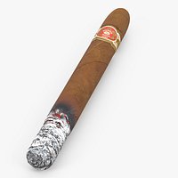 Cigar Punch Double Corona Smoking