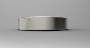 Joy Ring Silver 3D model