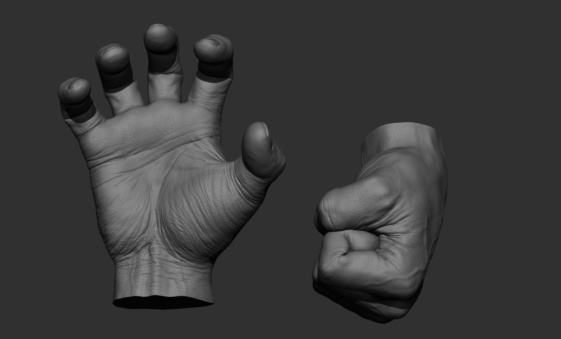 Male Hand Sculpt in 2 poses 3D model https://p.turbosquid.com/ts-thumb/cJ/GYmqXM/aI/24/jpg/1644625649/1920x1080/fit_q87/741f18857f979d792aec62f08aa0a9e6d9c72b52/24.jpg