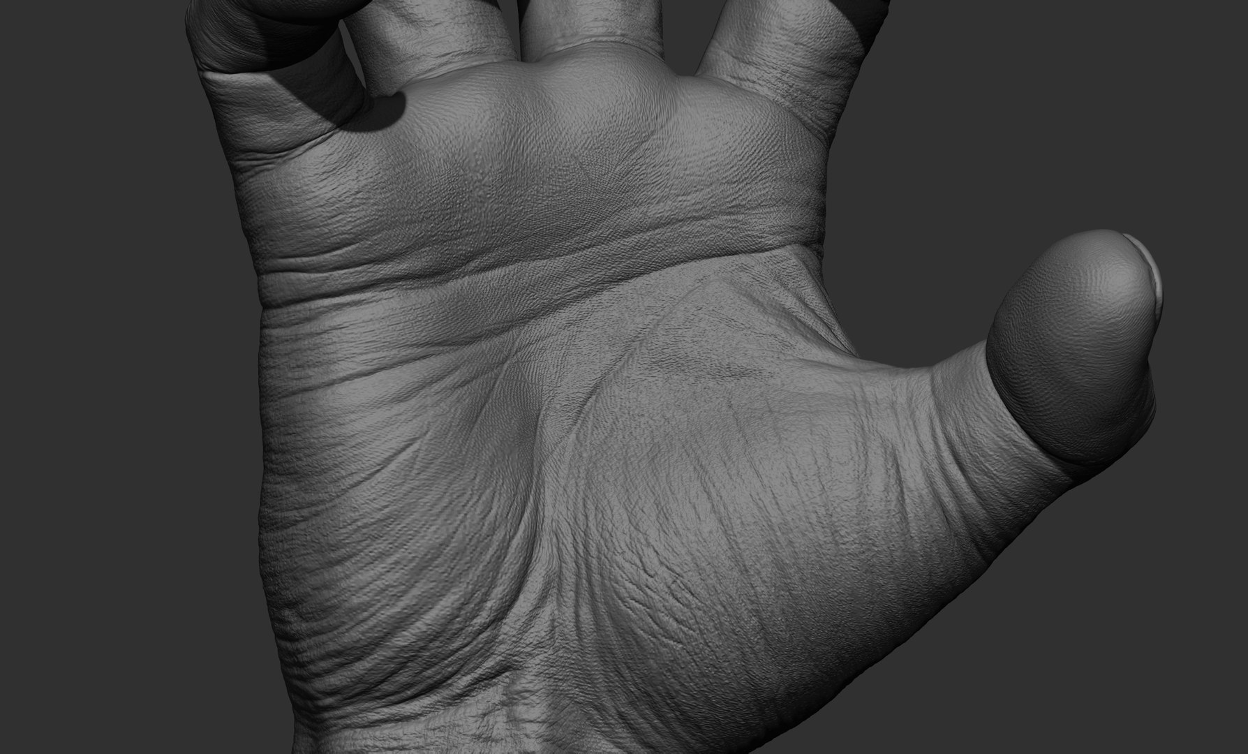 Male Hand Sculpt In 2 Poses 3D Model - TurboSquid 1853721