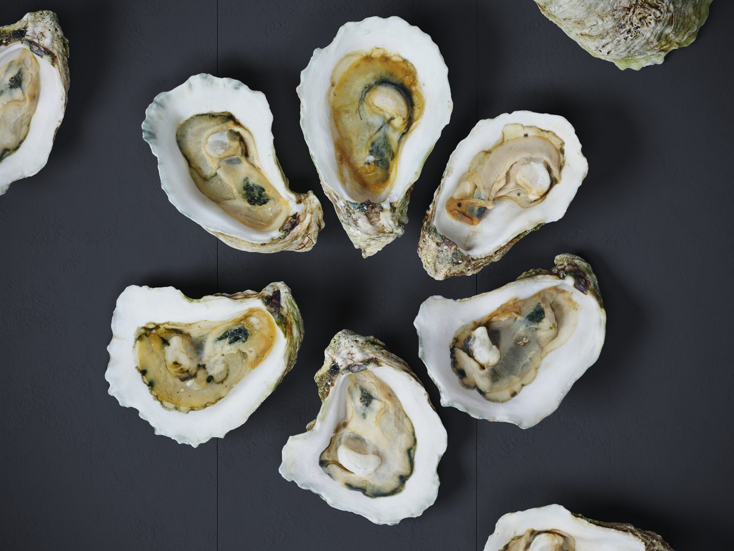 Half Shell Oysters 3D Model - TurboSquid 2092167