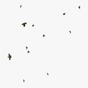 A Group of Animated Flying Sparrows