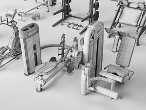 Massive Gym Equipment Collection