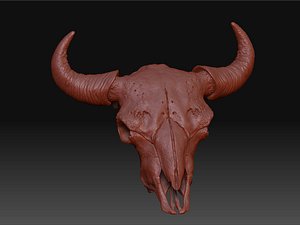牛の頭蓋骨3Dモデルダウンロード用。TurboSquid