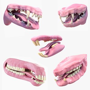 Animal Mouth Collection