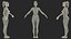 Light Skin Fitness Woman Rigged for Cinema 4D