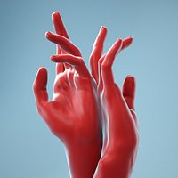 Female Hands 16