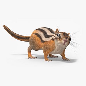 Tree-Dwelling Chipmunk Rigged for Maya