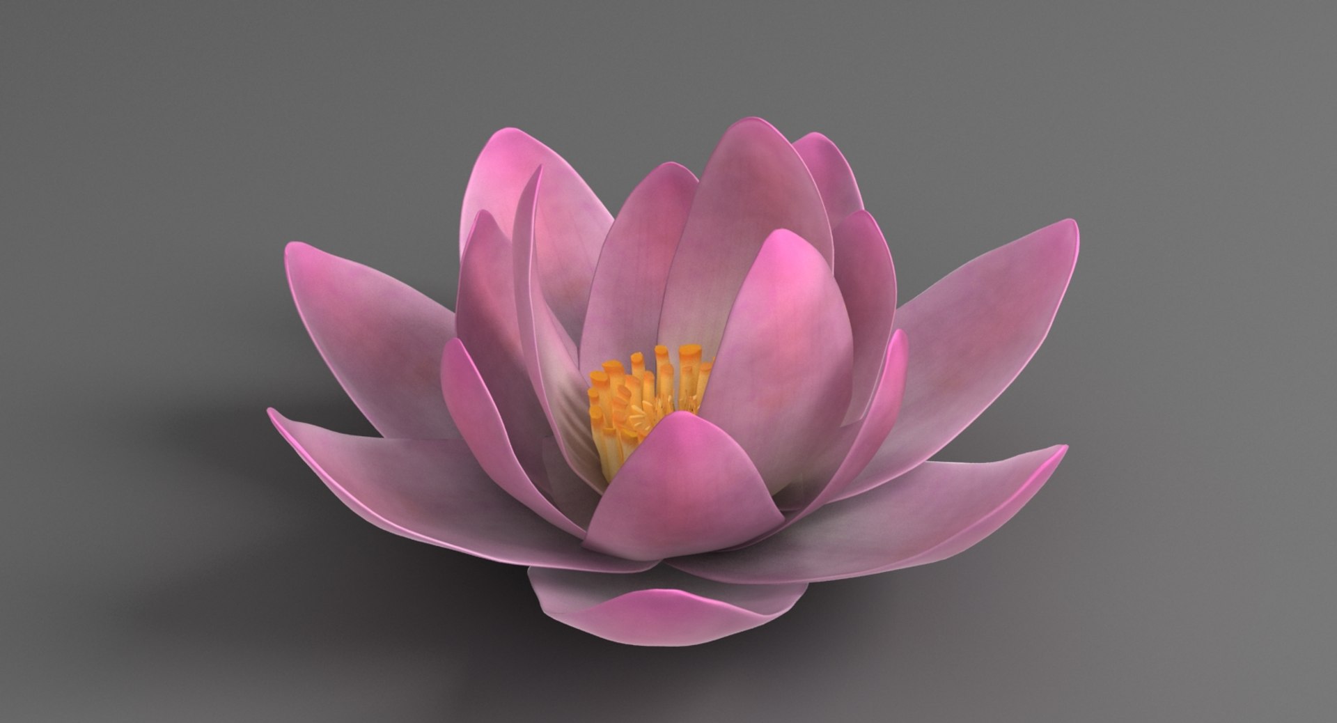 Flower 3d model